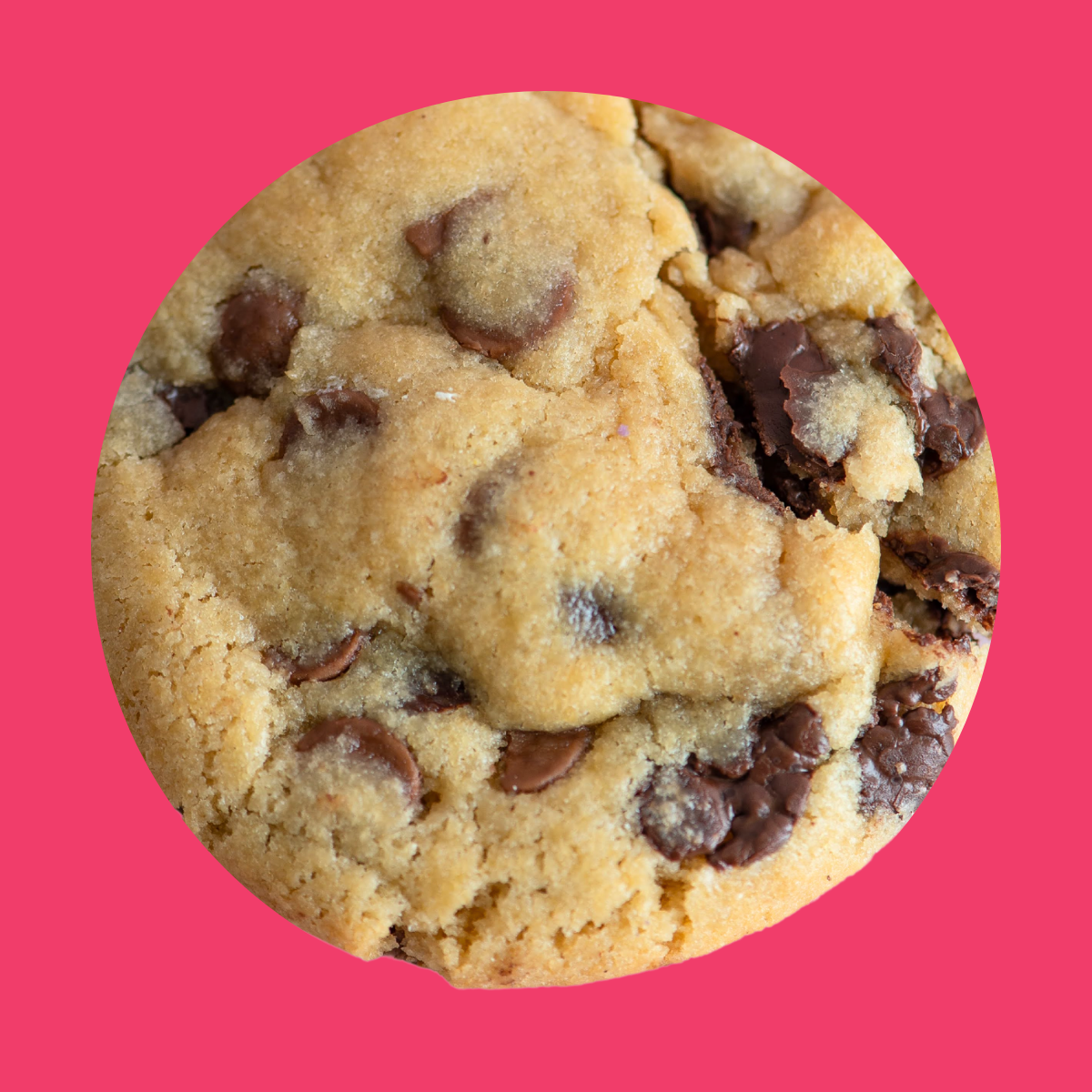OG Chocolate Chip