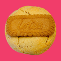 Biscoff Choc Chip