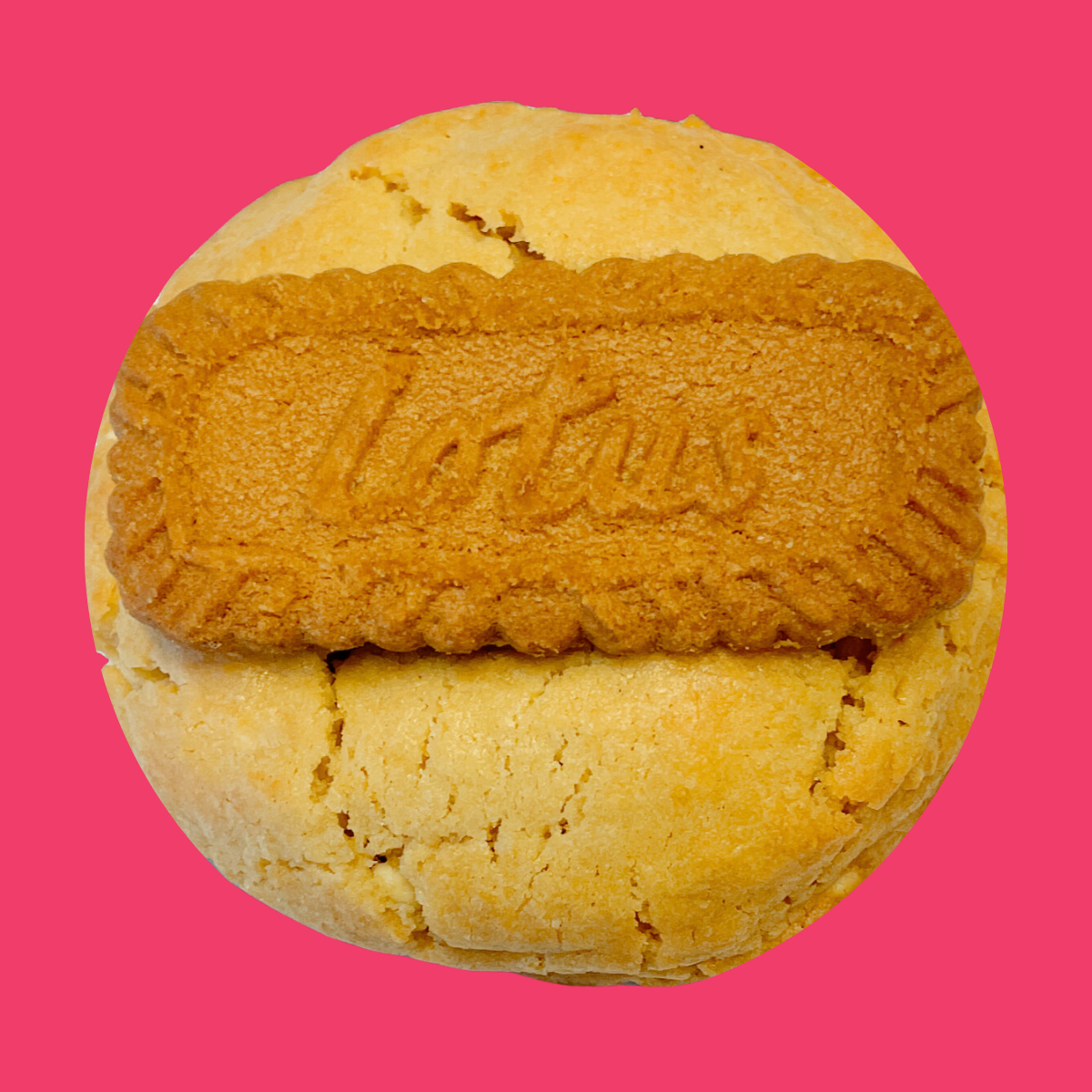 Biscoff Choc Chip