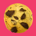 Best Ever Choc Chip