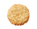 Single cookie on a white background