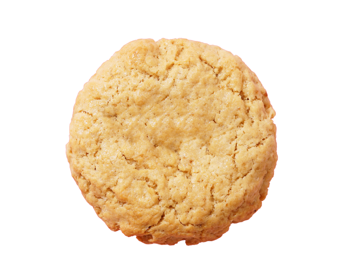 Single cookie on a white background