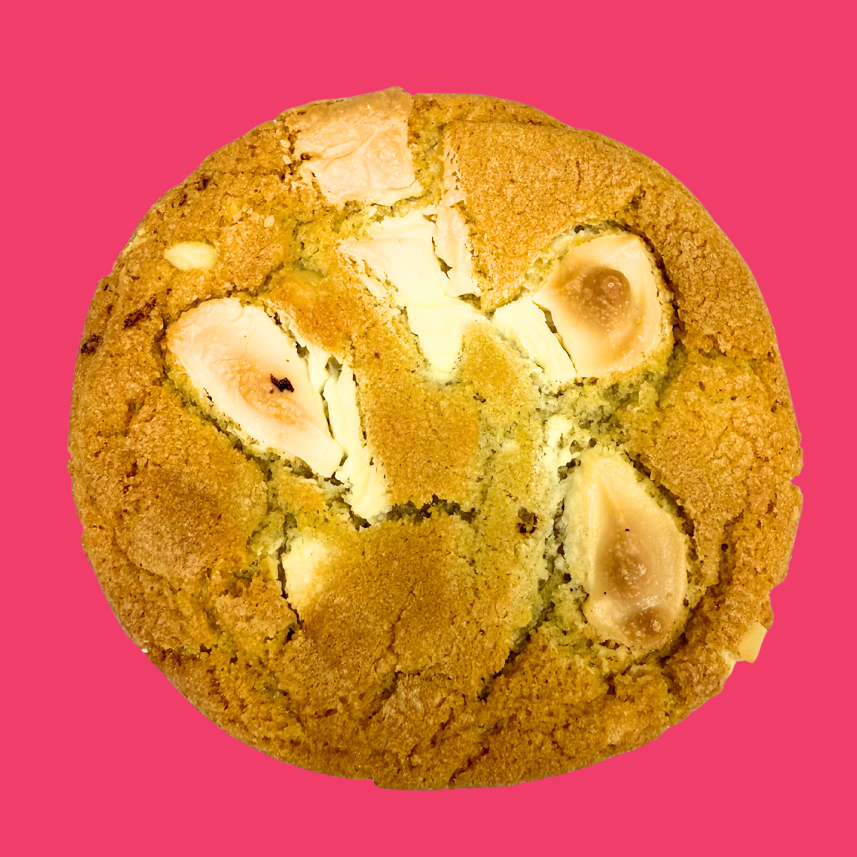 White Choc Macadamia