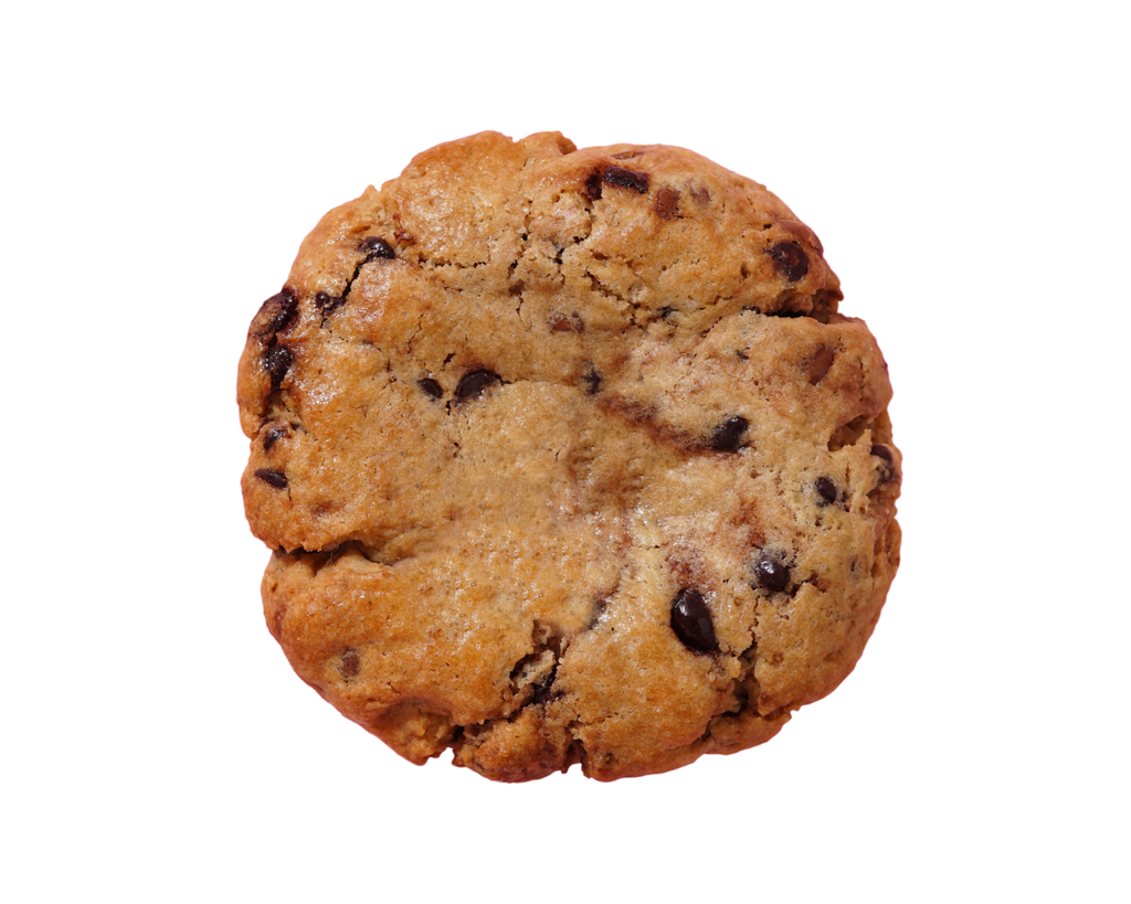 Chocolate chip cookie on a white background