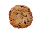 Chocolate chip cookie on a white background