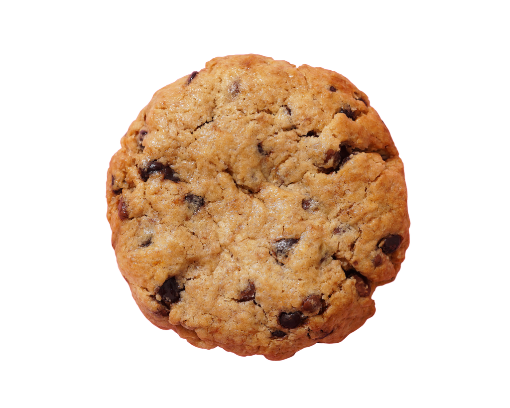 Chocolate chip cookie on a white background