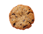 Chocolate chip cookie on a white background