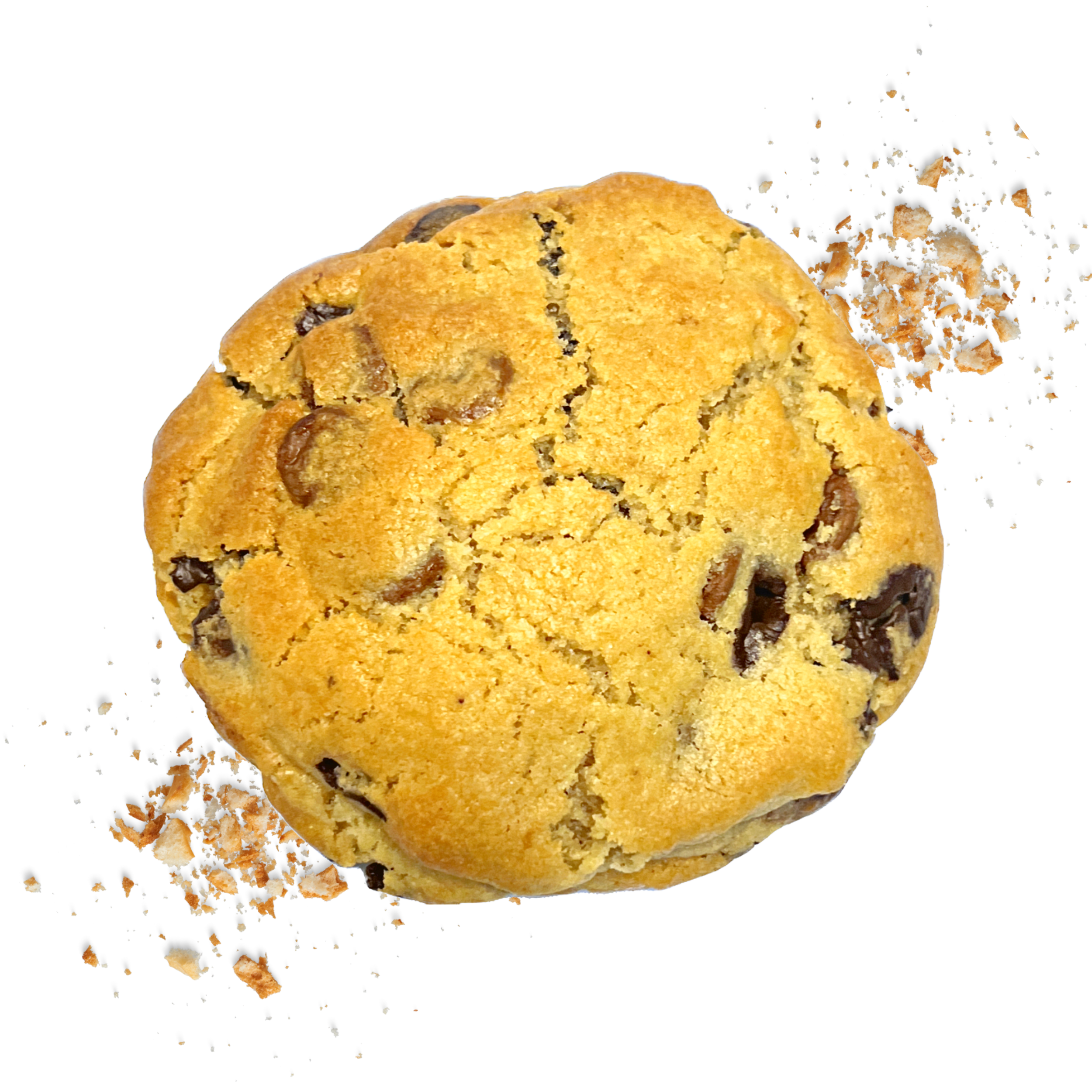 OG Choc Chip
